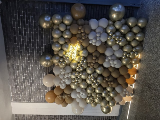 20250719_201636 (Small)